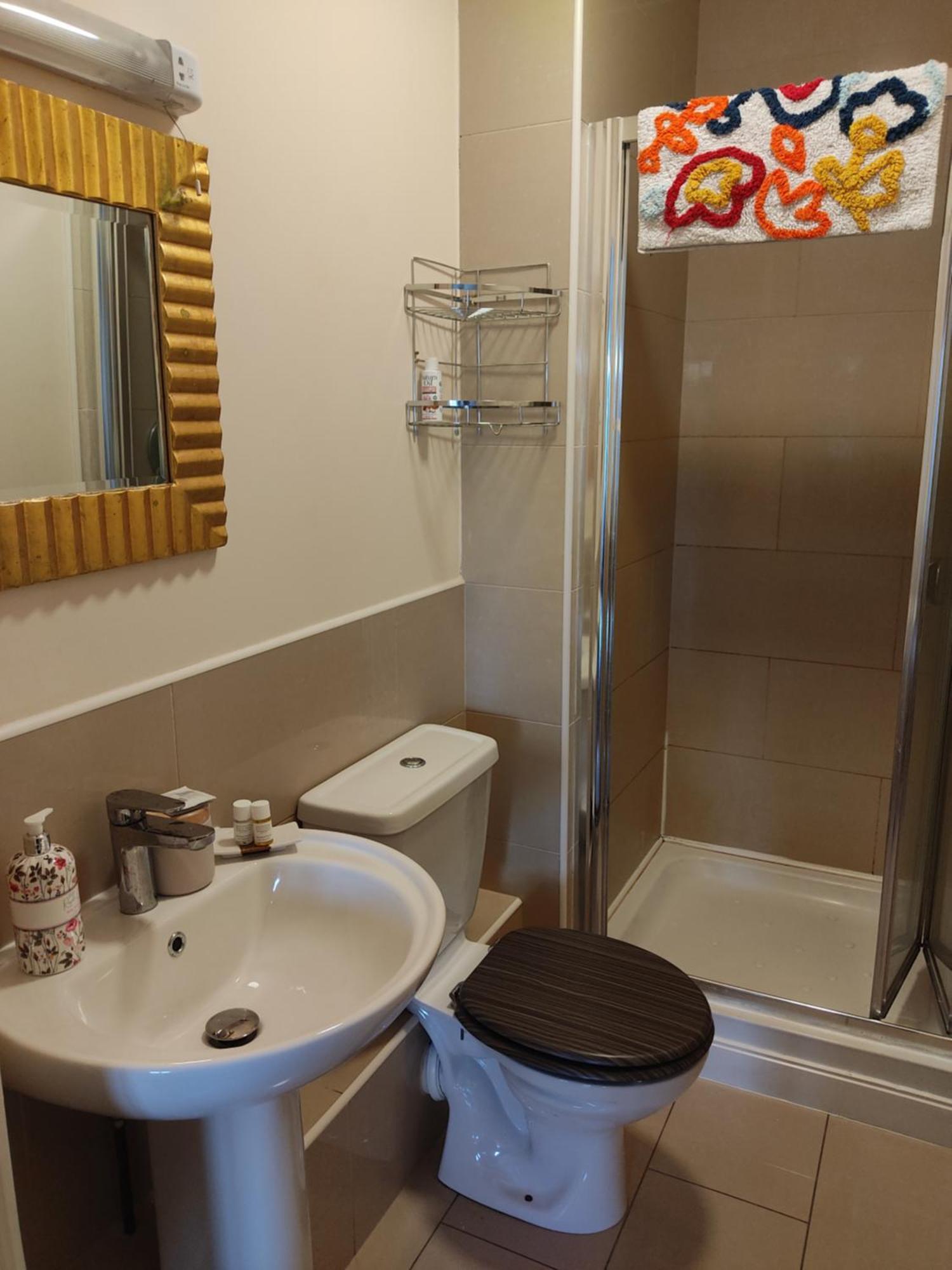 Swallows Nest - Spacious Bright Double Bedroom With Ensuite Bathroom دبلن المظهر الخارجي الصورة